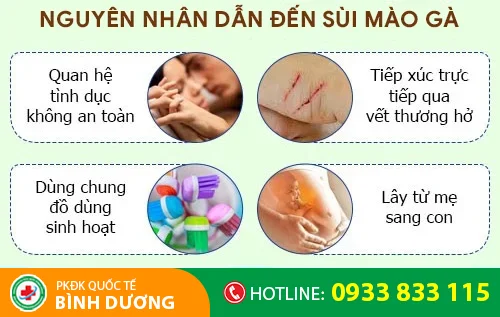 nguyen nhan sui mao ga