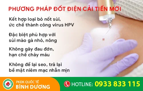 phuong phap dot dien sui mao ga