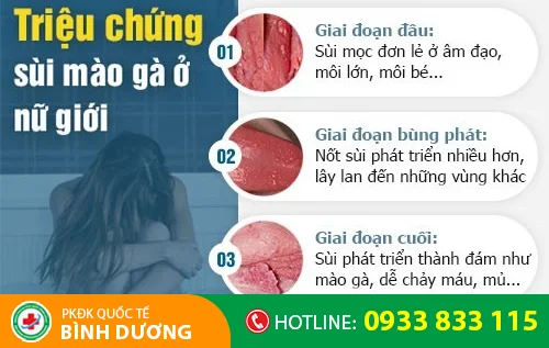sui mao ga o nu gioi